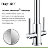 Kitchen Sink Mixer Tap Pull Out Spray Dual Lever Tap Monobloc Swivel Spout Chrome Brass