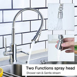 Hapilife Modern Kitchen Sink Mixer Tap with Flexible Spray Dual Lever Chrome